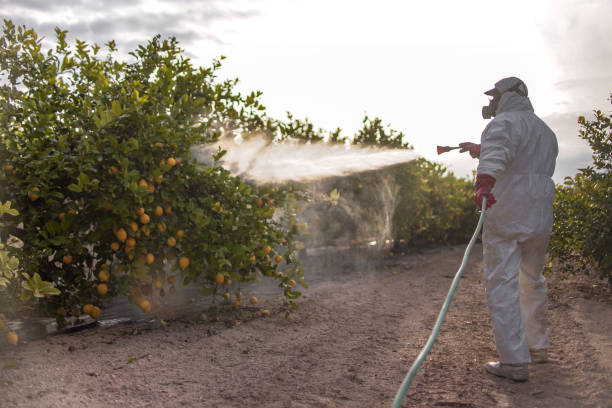 Best Ant Control Services  in Garden Plain, KS